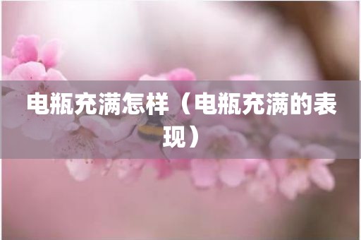 电瓶充满怎样（电瓶充满的表现）