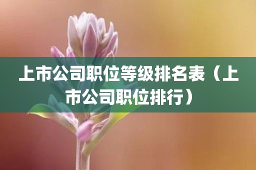 上市公司职位等级排名表（上市公司职位排行）