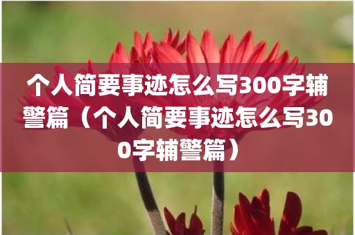 个人简要事迹怎么写300字辅警篇（个人简要事迹怎么写300字辅警篇）