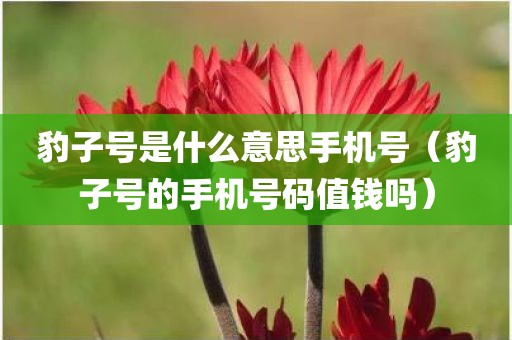 豹子号是什么意思手机号（豹子号的手机号码值钱吗）