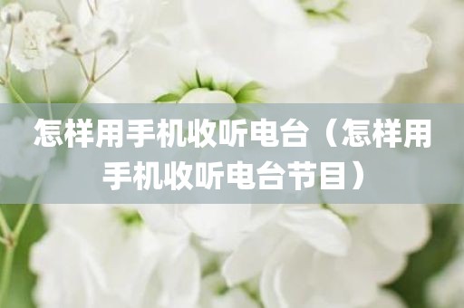怎样用手机收听电台（怎样用手机收听电台节目）