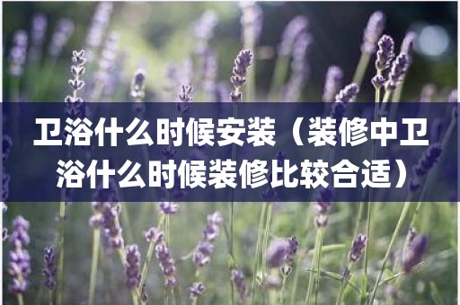 卫浴什么时候安装（装修中卫浴什么时候装修比较合适）