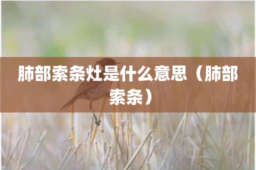 肺部索条灶是什么意思（肺部 索条）