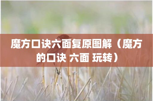 魔方口诀六面复原图解（魔方的口诀 六面 玩转）