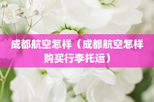成都航空怎样（成都航空怎样购买行李托运）