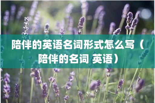 陪伴的英语名词形式怎么写（陪伴的名词 英语）