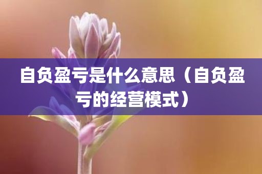 自负盈亏是什么意思（自负盈亏的经营模式）