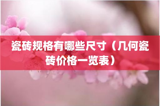 瓷砖规格有哪些尺寸（几何瓷砖价格一览表）