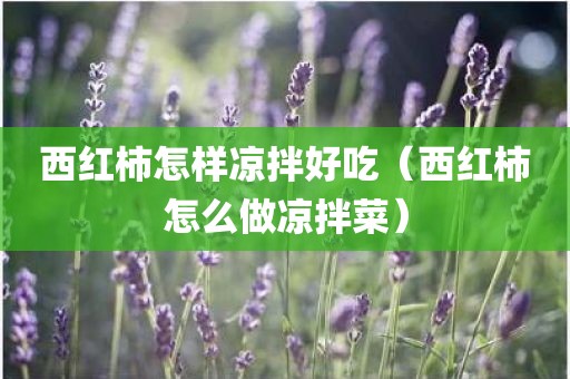 西红柿怎样凉拌好吃（西红柿怎么做凉拌菜）