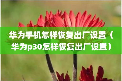 华为手机怎样恢复出厂设置（华为p30怎样恢复出厂设置）
