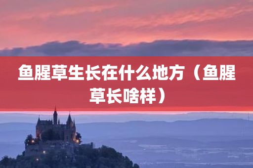 鱼腥草生长在什么地方（鱼腥草长啥样）