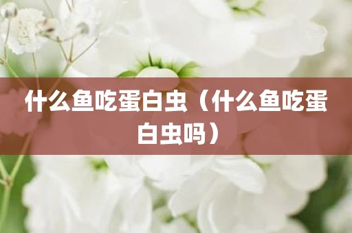什么鱼吃蛋白虫（什么鱼吃蛋白虫吗）
