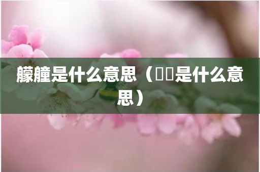 艨艟是什么意思（飝飜是什么意思）