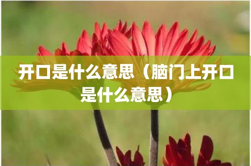 开口是什么意思（脑门上开口是什么意思）