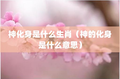 神化身是什么生肖（神的化身是什么意思）