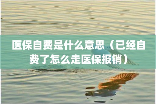 医保自费是什么意思(已经自费了怎么走医保报销)