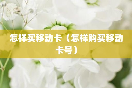 怎样买移动卡(怎样购买移动卡号)