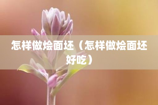 怎样做烩面坯(怎样做烩面坯好吃)