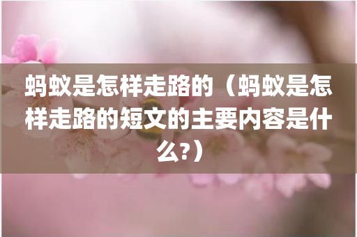 蚂蚁是怎样走路的（蚂蚁是怎样走路的短文的主要内容是什么?）