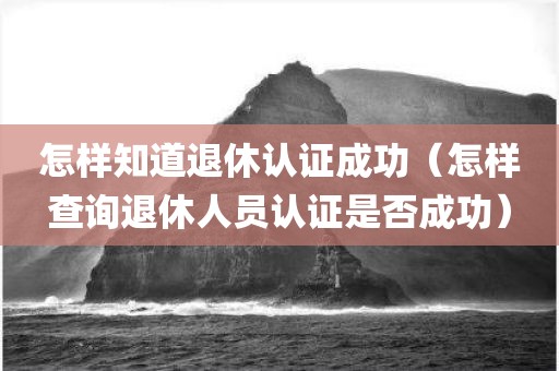 怎样知道退休认证成功（怎样查询退休人员认证是否成功）
