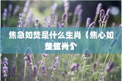 焦急如焚是什么生肖（焦心如焚打一个佳生肖）