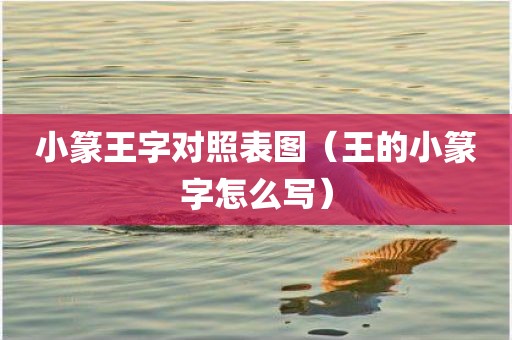 小篆王字对照表图（王的小篆字怎么写）