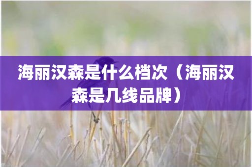 海丽汉森是什么档次（海丽汉森是几线品牌）