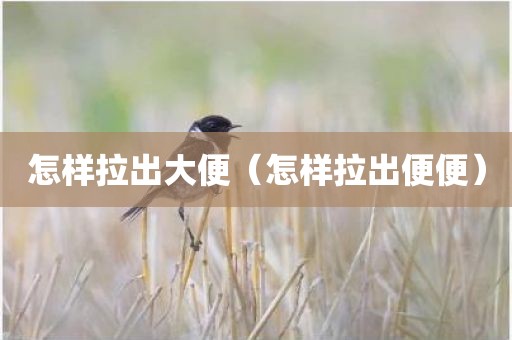 怎样拉出大便（怎样拉出便便）