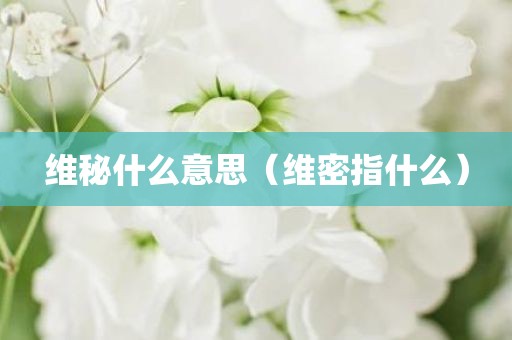 维秘什么意思（维密指什么）