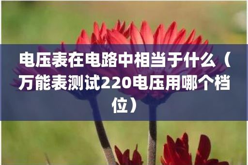 电压表在电路中相当于什么（万能表测试220电压用哪个档位）
