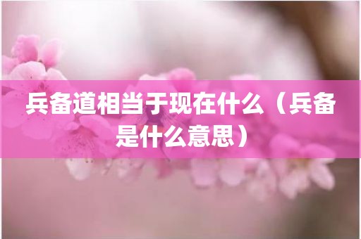 兵备道相当于现在什么（兵备是什么意思）