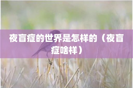 夜盲症的世界是怎样的（夜盲症啥样）