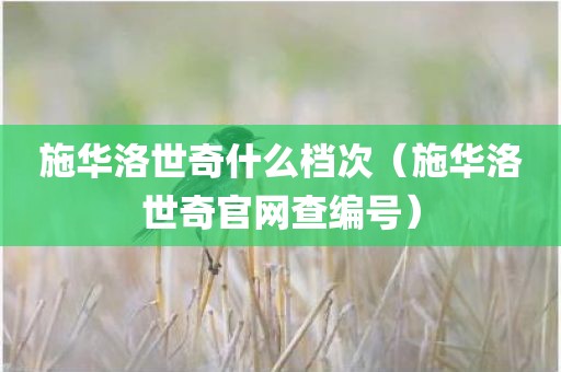 施华洛世奇什么档次（施华洛世奇官网查编号）