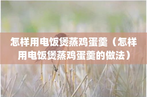 怎样用电饭煲蒸鸡蛋羹（怎样用电饭煲蒸鸡蛋羹的做法）