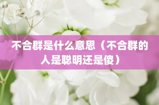 不合群是什么意思（不合群的人是聪明还是傻）