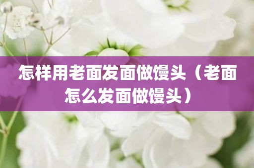 怎样用老面发面做馒头（老面怎么发面做馒头）