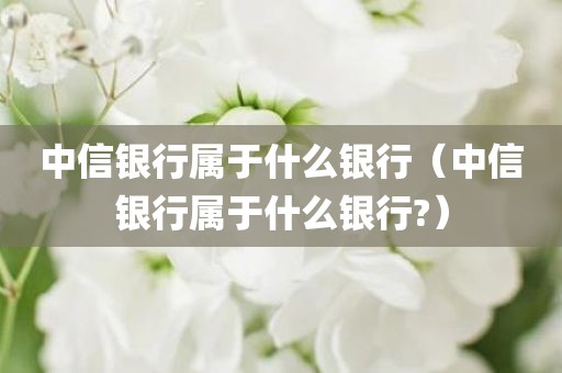 中信银行属于什么银行（中信银行属于什么银行?）