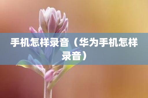 手机怎样录音（华为手机怎样录音）
