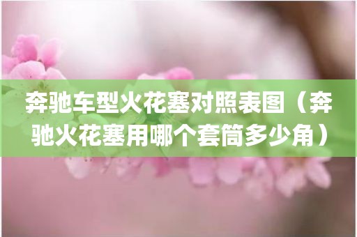 奔驰车型火花塞对照表图（奔驰火花塞用哪个套筒多少角）