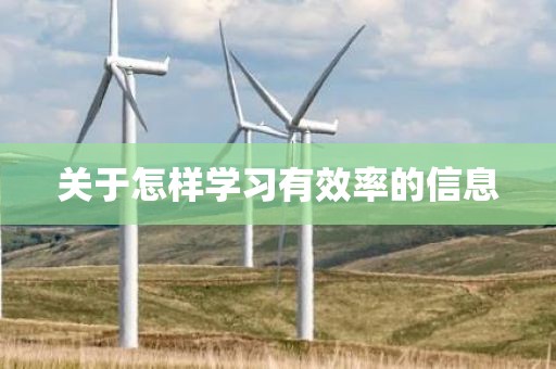 关于怎样学习有效率的信息
