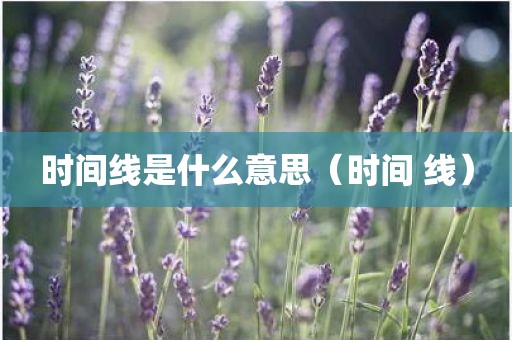 时间线是什么意思（时间 线）