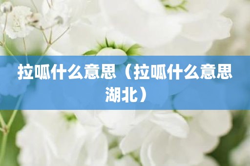 拉呱什么意思（拉呱什么意思湖北）