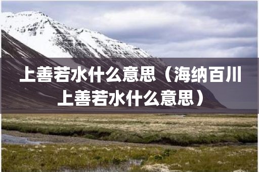 上善若水什么意思（海纳百川上善若水什么意思）