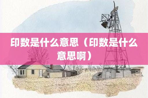 印数是什么意思（印数是什么意思啊）
