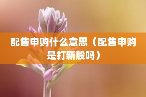 配售申购什么意思（配售申购是打新股吗）