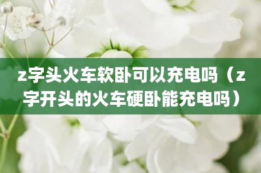 z字头火车软卧可以充电吗（z字开头的火车硬卧能充电吗）