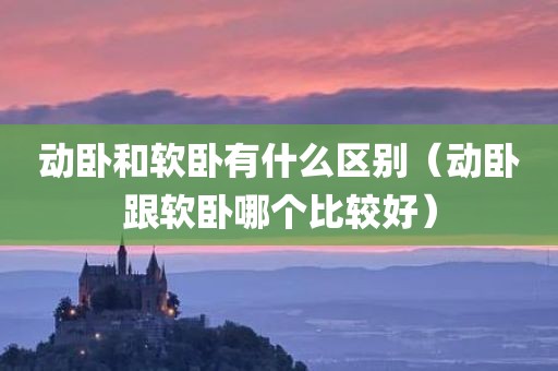 动卧和软卧有什么区别（动卧跟软卧哪个比较好）