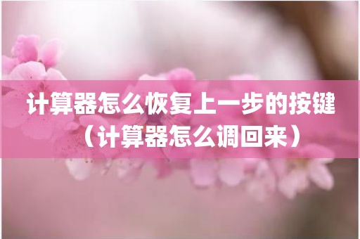计算器怎么恢复上一步的按键（计算器怎么调回来）