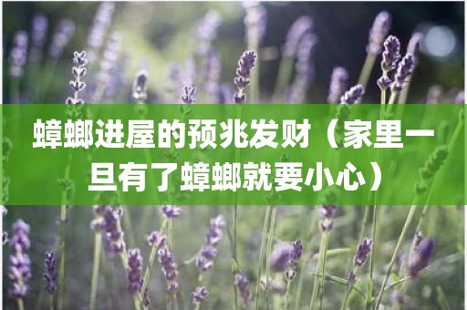 蟑螂进屋的预兆发财（家里一旦有了蟑螂就要小心）
