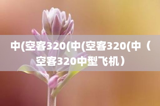 中(空客320(中(空客320(中（空客320中型飞机）